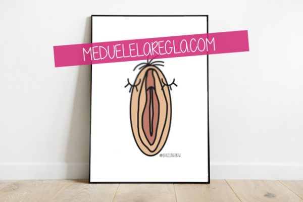 lámina vulva A_meduelelaregla.com