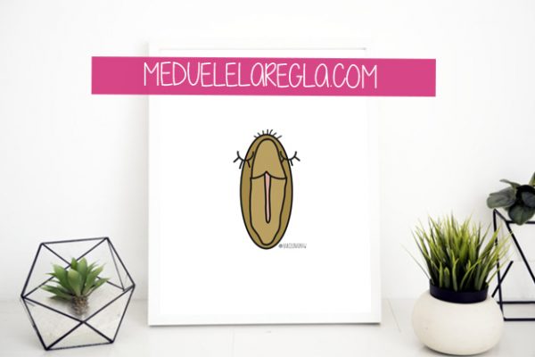Lámina vulva MDLR-D meduelelaregla.com
