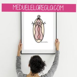 lámina vulva ilustración_B_meduelelaregla.com